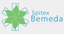 Spitex Bemeda logo